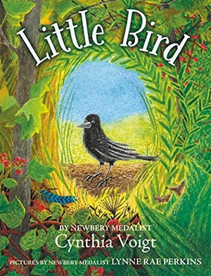 Voigt, Cynthia. Little Bird. HarperCollins, 2021.