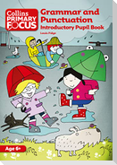 PRIMARY GRAM&PUNC INTRO