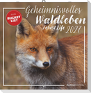 Geheimnisvolles Waldleben 2027