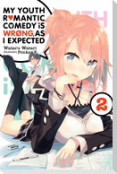 My Youth Romantic Comedy Is Wrong, As I Expected, Vol. 2 (light novel)