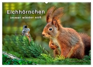 Roder, Peter. Eichhörnchen - immer wieder süß (Wandkalender 2024 DIN A2 quer), CALVENDO Monatskalender - Eichhörnchen - flinke kleine Kobolde in Wald und Park.. Calvendo, 2023.