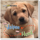 Vom Welpen zum Hund. Kreislauf des Lebens