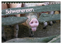 Schweinereien (Tischkalender 2025 DIN A5 quer), CALVENDO Monatskalender