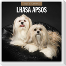 Lhasa Apsos - Lhasa Apso 2027 - 16-Monatskalender