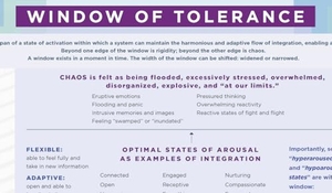 Siegel, Daniel J. Window of Tolerance Laminated Card. W. W. Norton & Company, 2024.