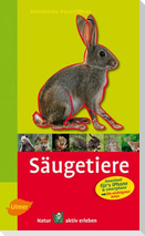 Steinbachs Naturführer Säugetiere