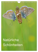 Insekten,Schönheiten der Natur (Wandkalender 2025 DIN A4 hoch), CALVENDO Monatskalender