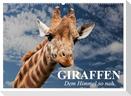 Giraffen. Dem Himmel so nah (Wandkalender 2025 DIN A2 quer), CALVENDO Monatskalender