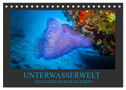 Unterwasserwelt - Das Leben am Korallenriff (Tischkalender 2024 DIN A5 quer), CALVENDO Monatskalender
